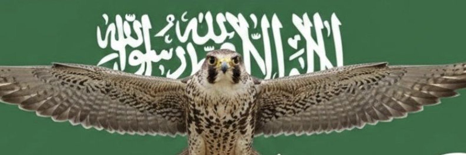 mte_o8's profile banner image
