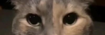 Caygabe's profile banner image