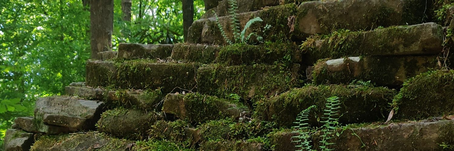 beetleboxes's profile banner image
