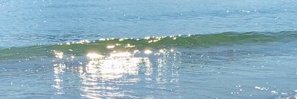 mhom_ent Profile Banner