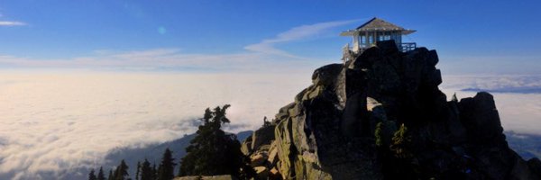 _SingleBabyMama Profile Banner