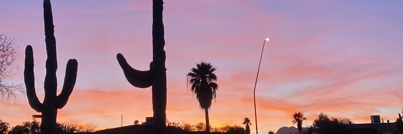 sheeerilynn's profile banner image