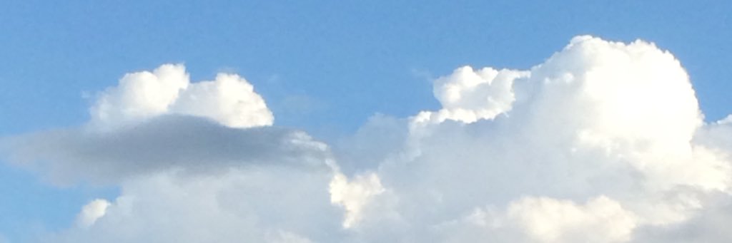 shida_cat's profile banner image