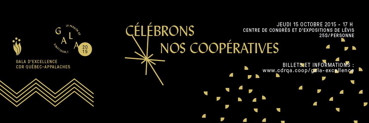 cdrqa's profile banner image