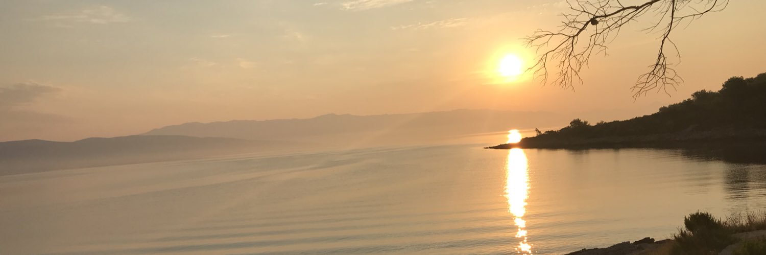 Wickileaks. banner