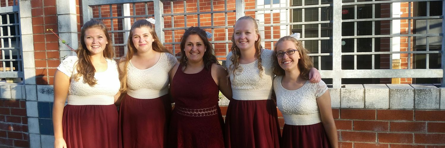 LHS Color Guard banner