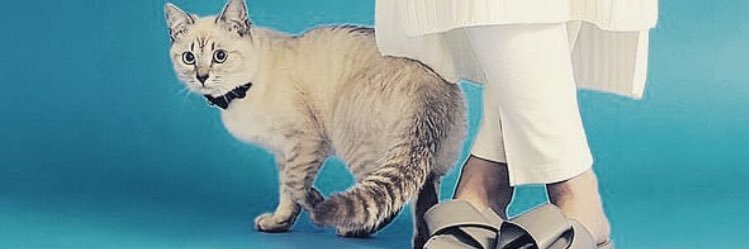 MariLIEvo's profile banner image
