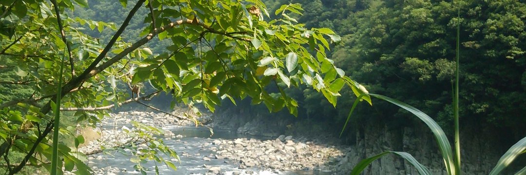 pegu2000tw's profile banner image