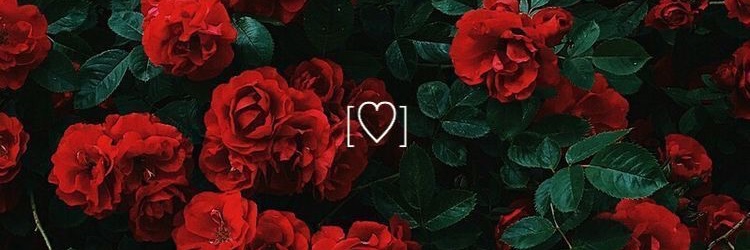 CaIIOfTheSiren's profile banner image
