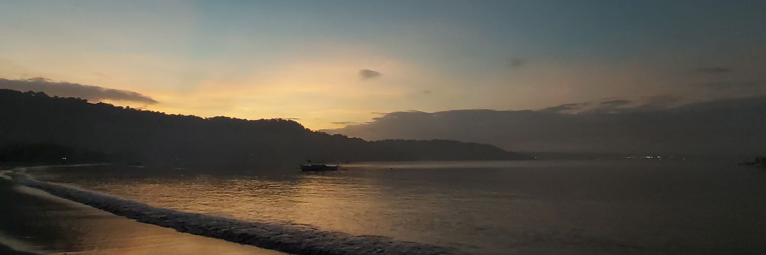 pamiiedavid's profile banner image