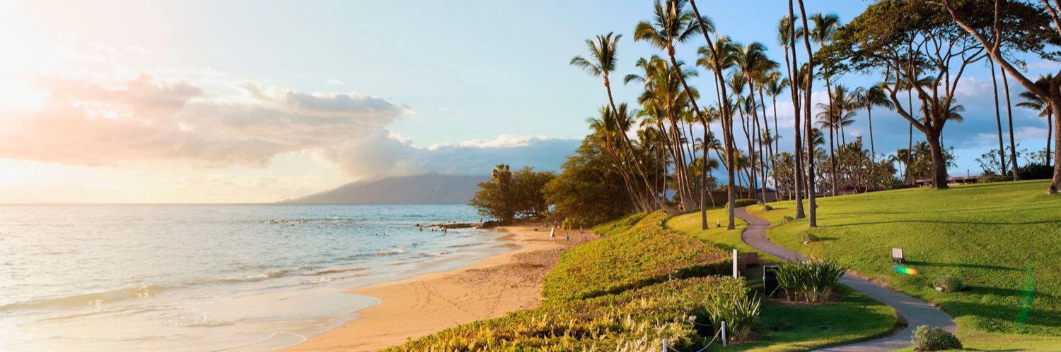 Brandon Stato banner