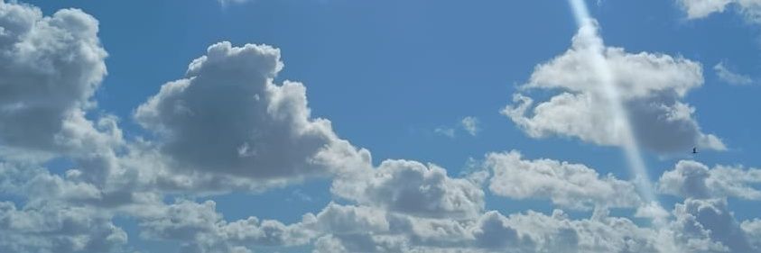 Alech17's profile banner image