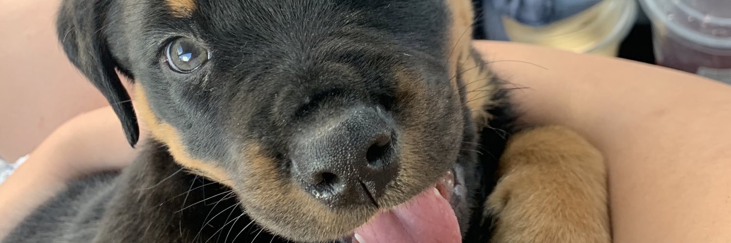 alexysgardner's profile banner image