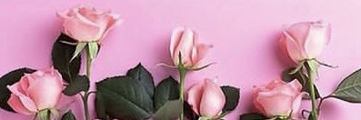 _phiiiaa's profile banner image