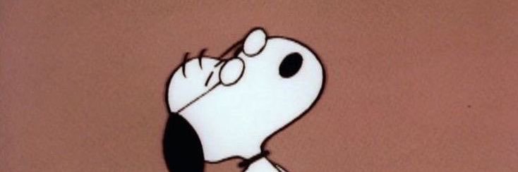 emiliaramosss's profile banner image