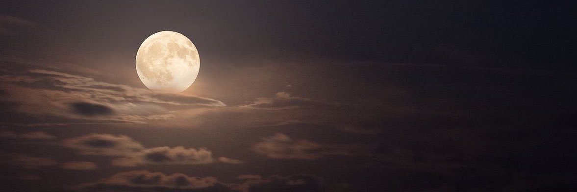 NahaarThe's profile banner image