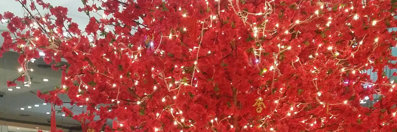 nokatgloster's profile banner image