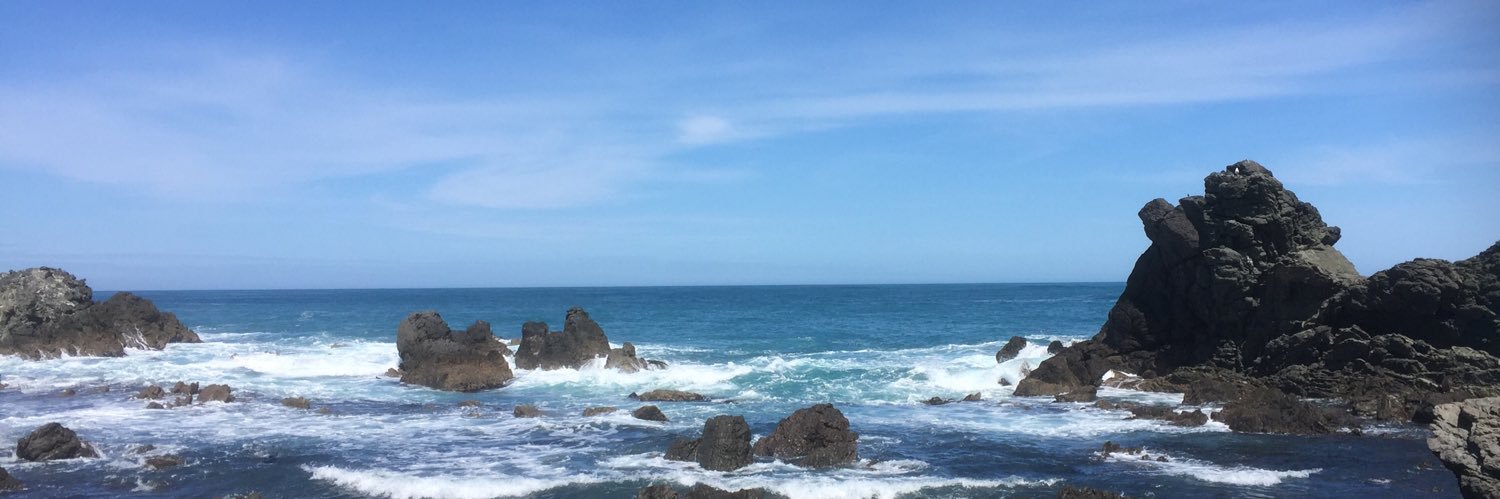 ⭕️🦎💚🌶 Ding 🌶💚🦎⭕️ banner