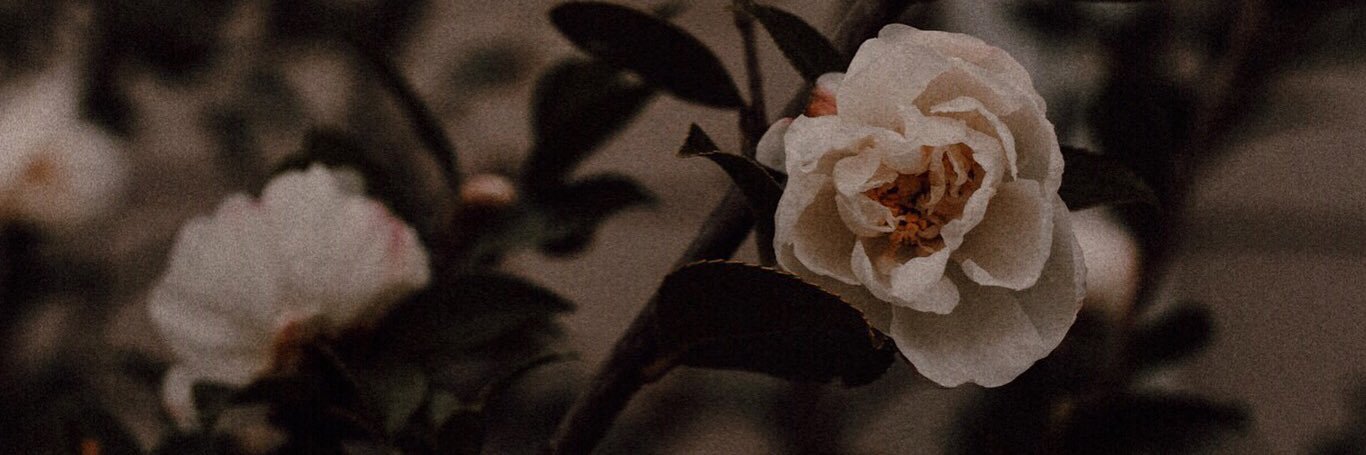 Clarice △ banner