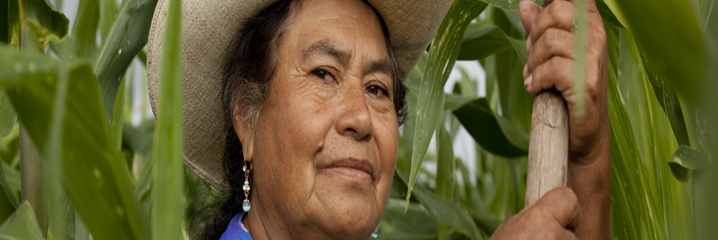 ProdMexicanos's profile banner image