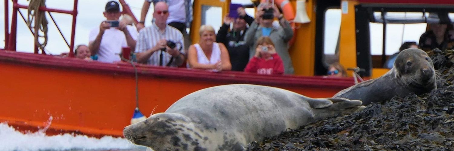 Funfish Trips & Pleasure Cruises banner