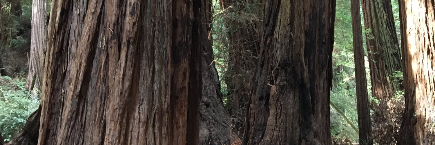 LeslieOConnell2's profile banner image