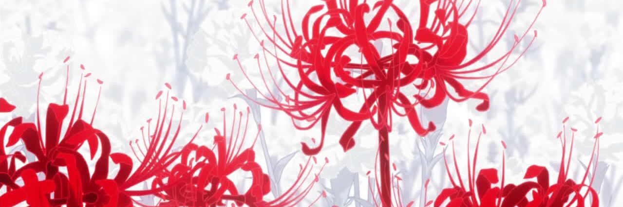 axvr1s's profile banner image