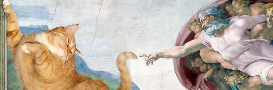 ashmschaef's profile banner image