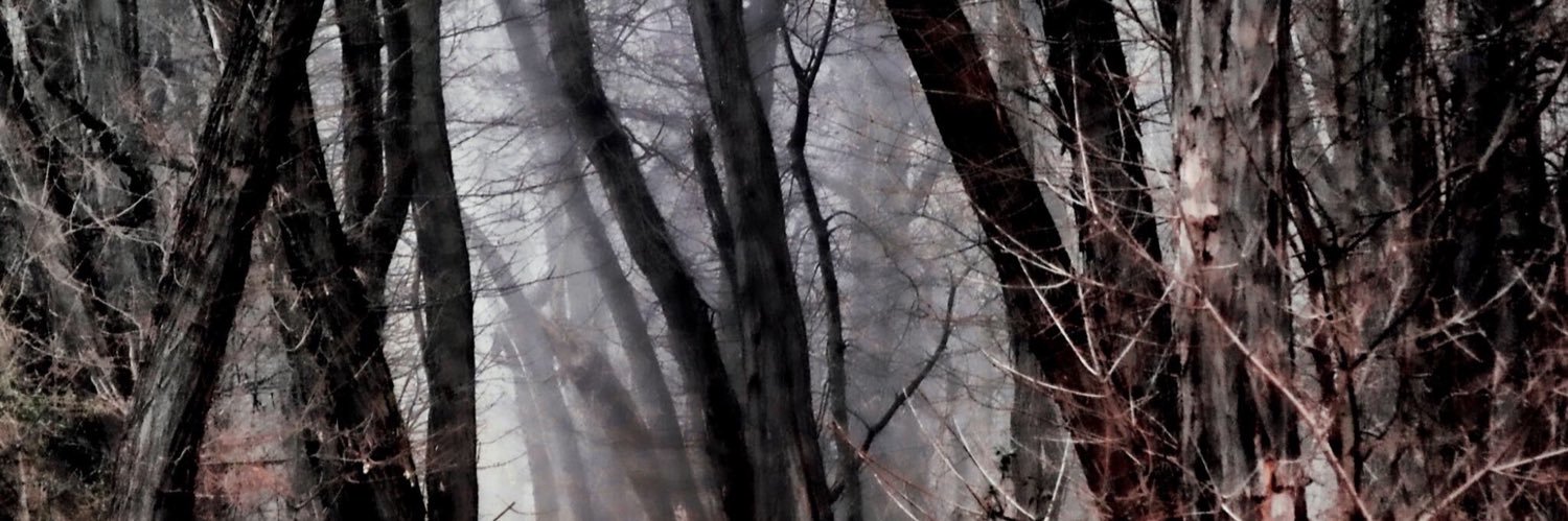 MsCristinaDrake's profile banner image
