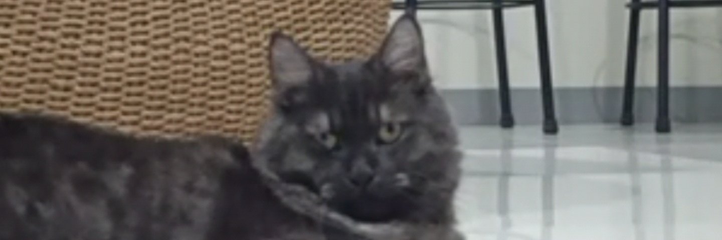 winedungca's profile banner image