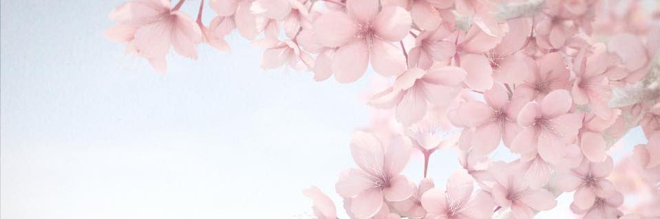 BenedicteBD's profile banner image