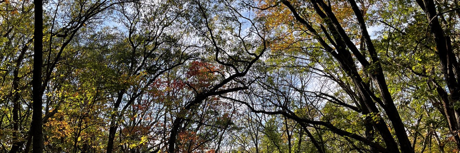 OwenWisner's profile banner image