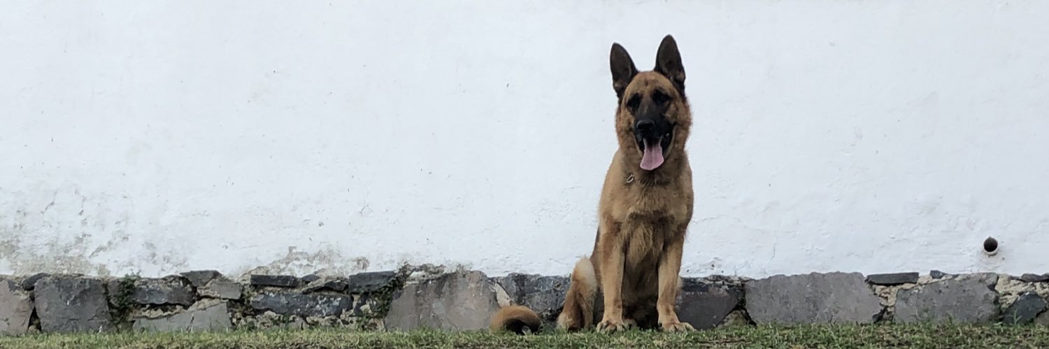 AlfonsoMS5's profile banner image