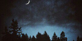 Janine_night's profile banner image