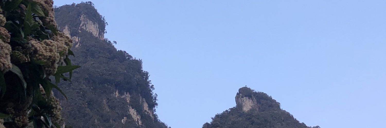 Patinetoman's profile banner image