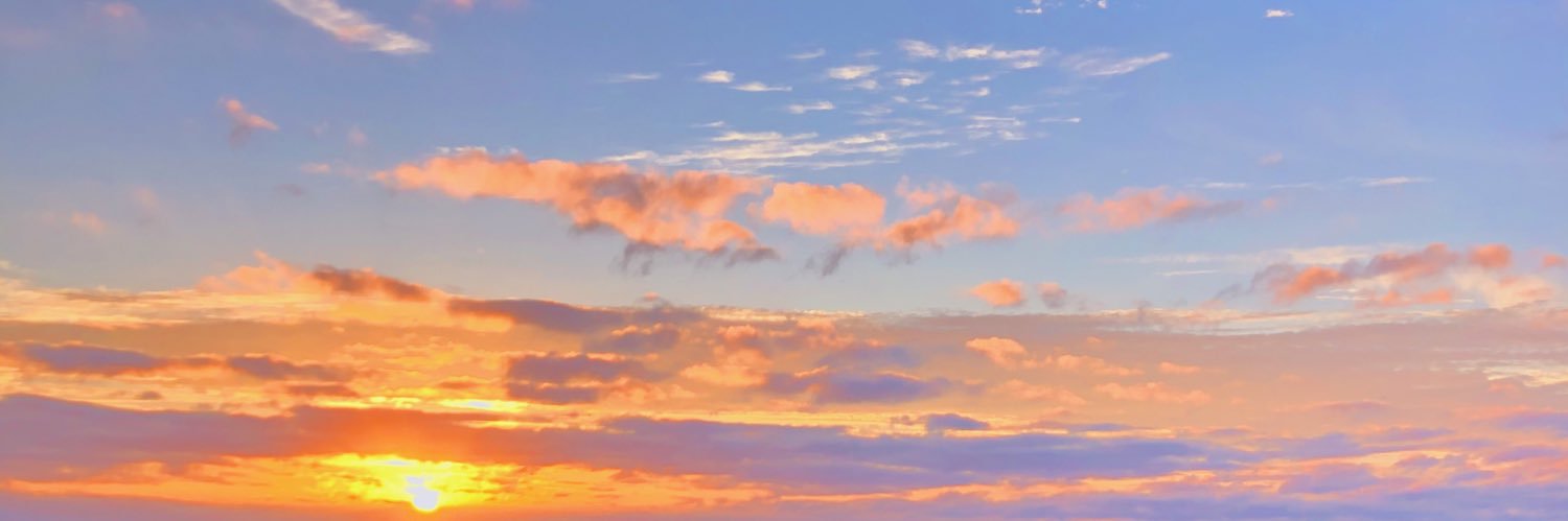 annaterrenzi's profile banner image