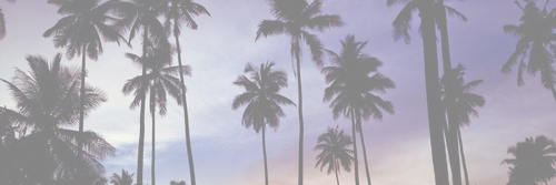 AlexiaStandish's profile banner image