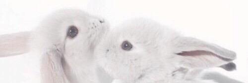 ryon___113's profile banner image
