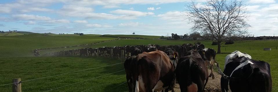 Bart Millenaar banner