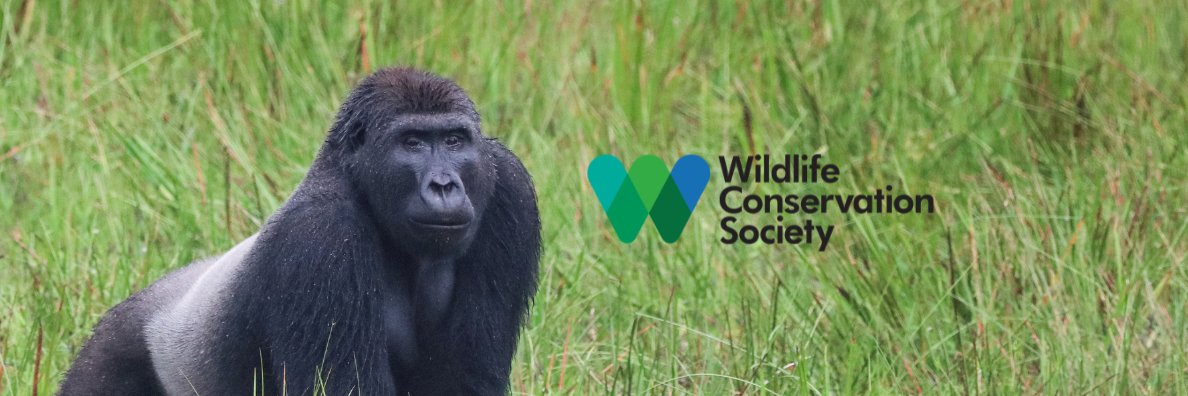 TheWCS's profile banner image