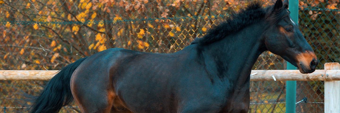 desireemunz's profile banner image