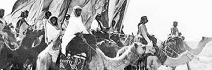 Naief, MD l نايف الغنيمي banner