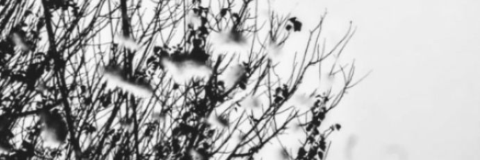 leticiamasso_'s profile banner image