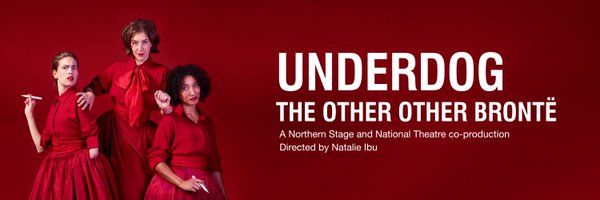 Northern Stage Profile Banner