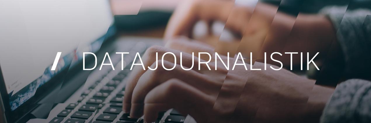SVT Datajournalistik banner