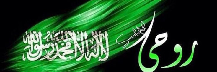 rmsa2015's profile banner image