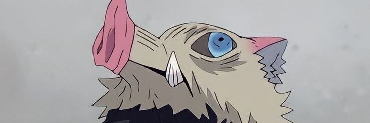 bi banner