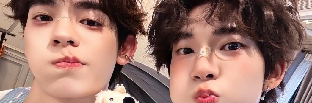 pippip🐶 banner