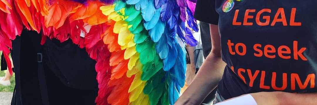 Tina Dixson 🏳️‍🌈 banner