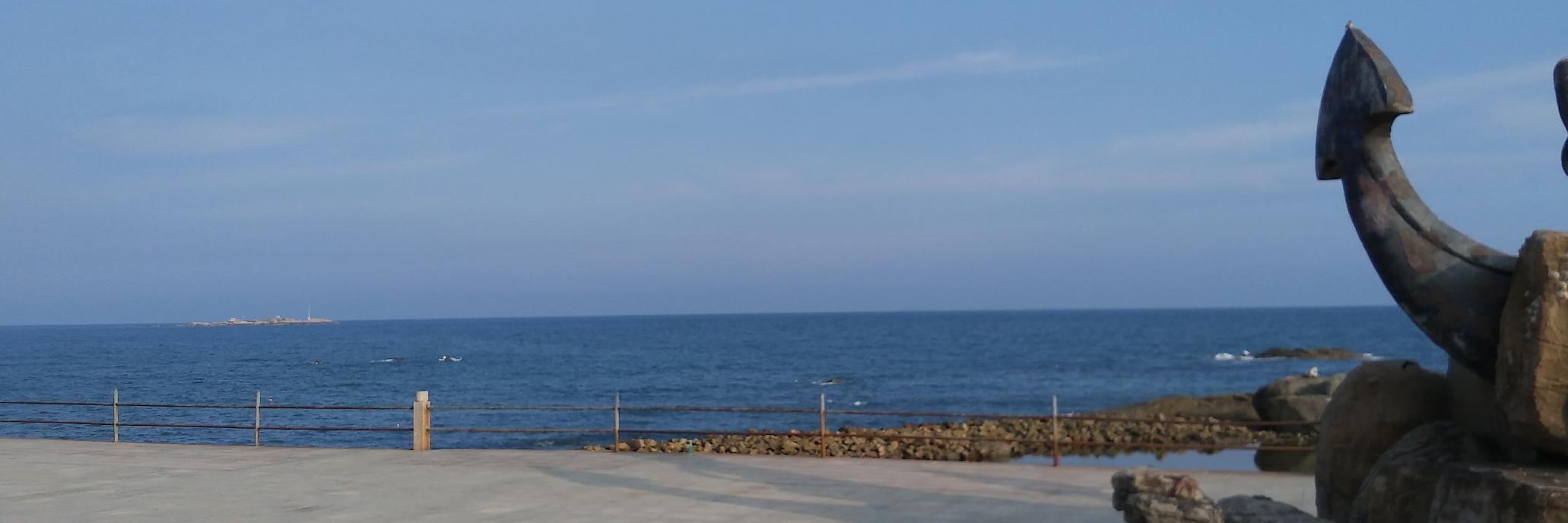 NestFrog's profile banner image
